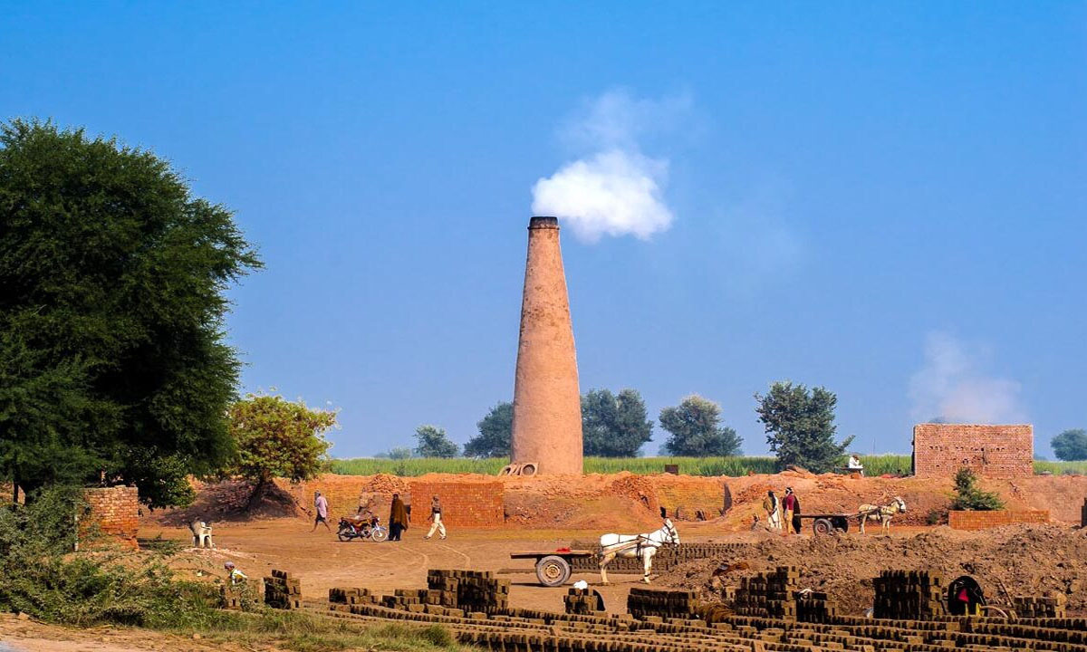 इँटा उत्पादनमा मधेस प्रदेश अगाडि, बजेट नपाएकोमा मुख्यमन्त्री सिंहको गुनासो