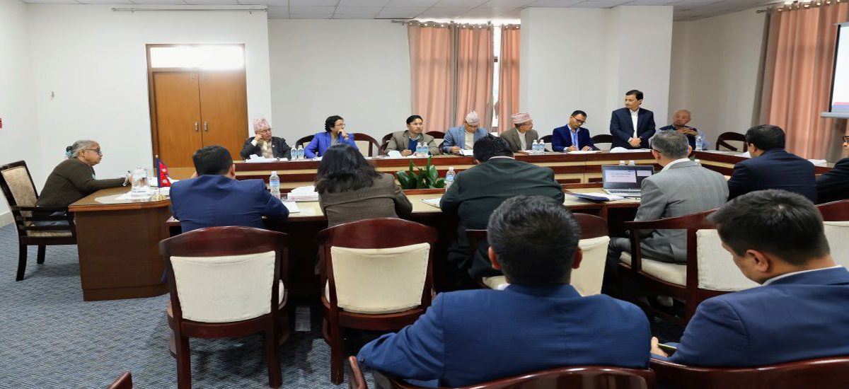 नेपाल वायुसेवा निगममा पहुँचका भरमा नियुक्ती पाएका करार कर्मचारी  हटाउन प्रधानमन्त्री कार्कीको आदेश