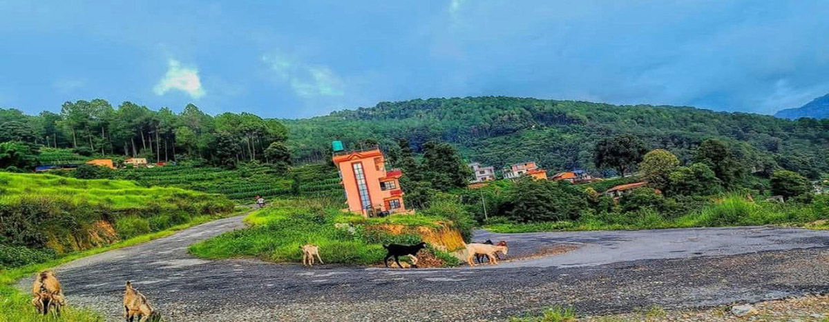 आन्तरिक पर्यटको रोजाइमा ताथलीगढी र हलालगाउँ