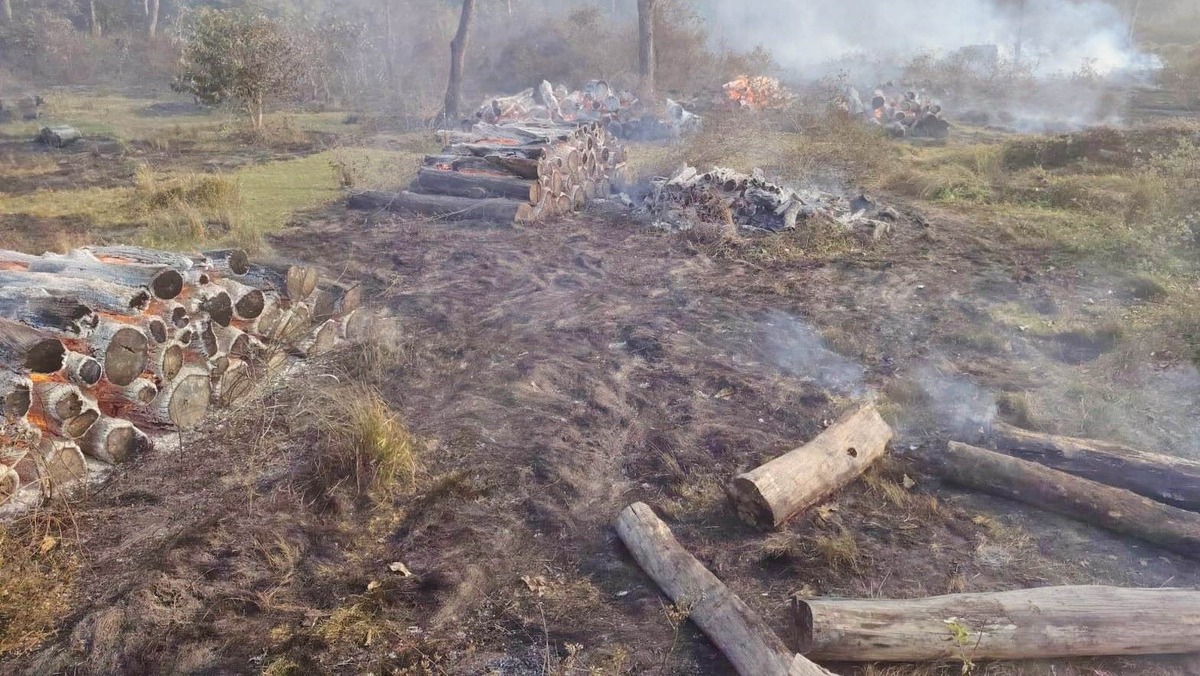 रौतहटको सामुदायिक वनमा भीषण आगलागी, १ करोडभन्दा बढीको साल काठ जलेर नष्ट