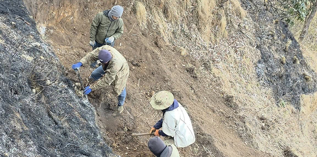 धौलागिरि आइसफल जोड्ने पदमार्ग निर्माण थालनी