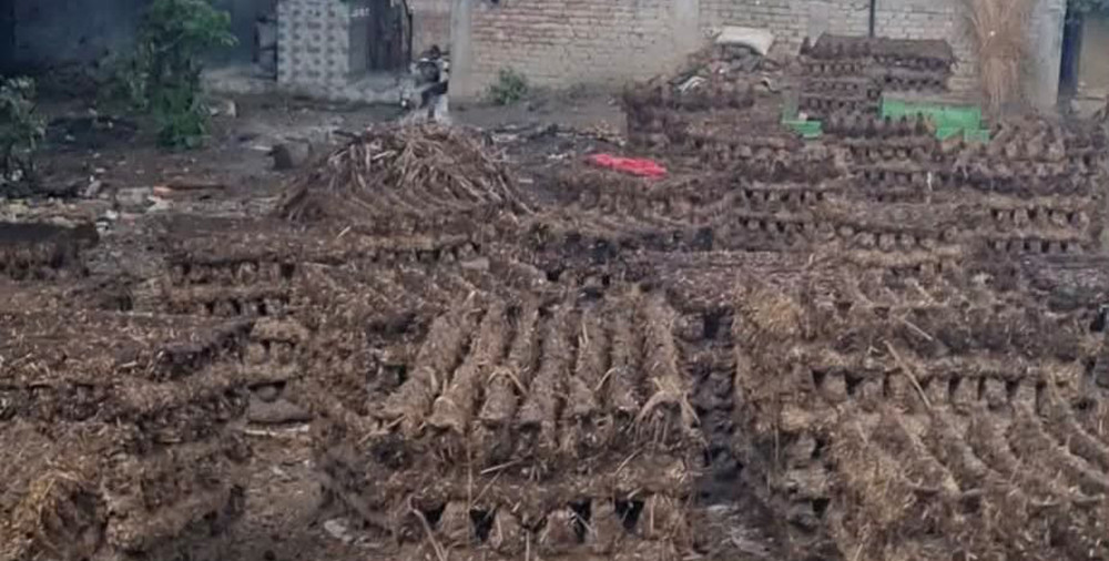 रौतहटको ग्रामीण क्षेत्रमा वैकल्पिक ऊर्जाको रुपमा गोबरको गुइँठा प्रयोग गरिँदै