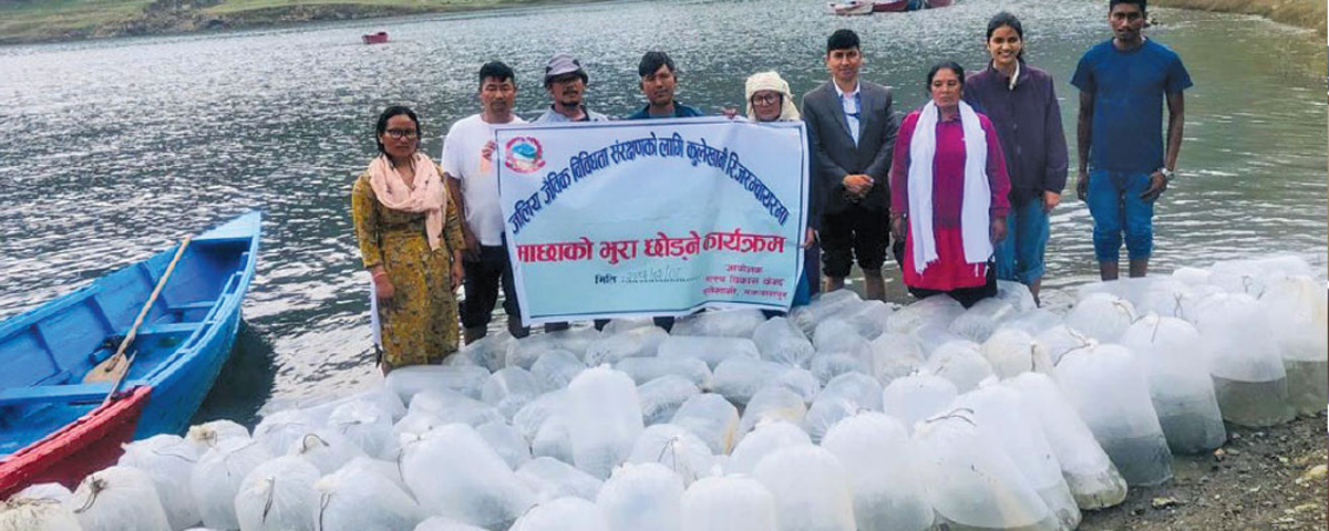 इन्द्रसरोवरमा दुई लाखभन्दा बढी माछाका भुरा छाडियो, जैविक विविधता संरक्षणमा जोड