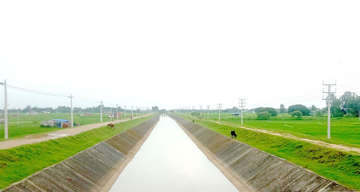 लिफ्ट सिँचाइले फेरियो बालापुरका किसानको जीवन, बाँझो खेतमा वर्षभरि हरियाली