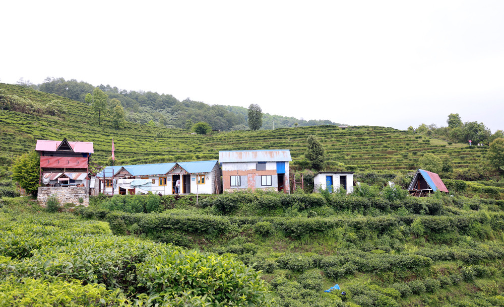 चियाबारीको हरियालीमा फक्रिँदै ल्वाङ गाउँको पर्यटन, थप पूर्वाधारको खाँचो