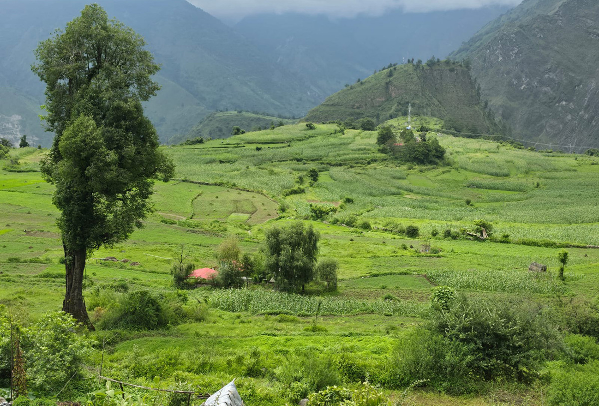 म्याग्दीको स्वाँरा फाँटमा सिँचाइ योजना सुरु, ३० हेक्टर जमिनमा सुविधा विस्तार हुने