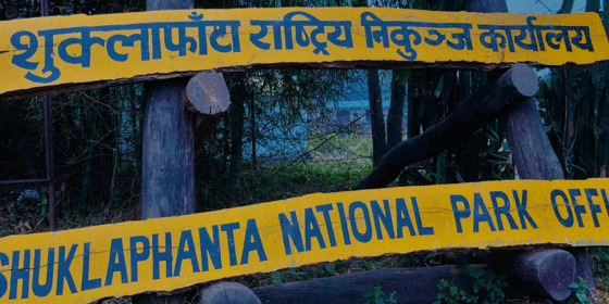 च्याउ खोज्न निकुञ्ज गएका तीन महिला फेला, १४ जना सम्पर्कविहीन