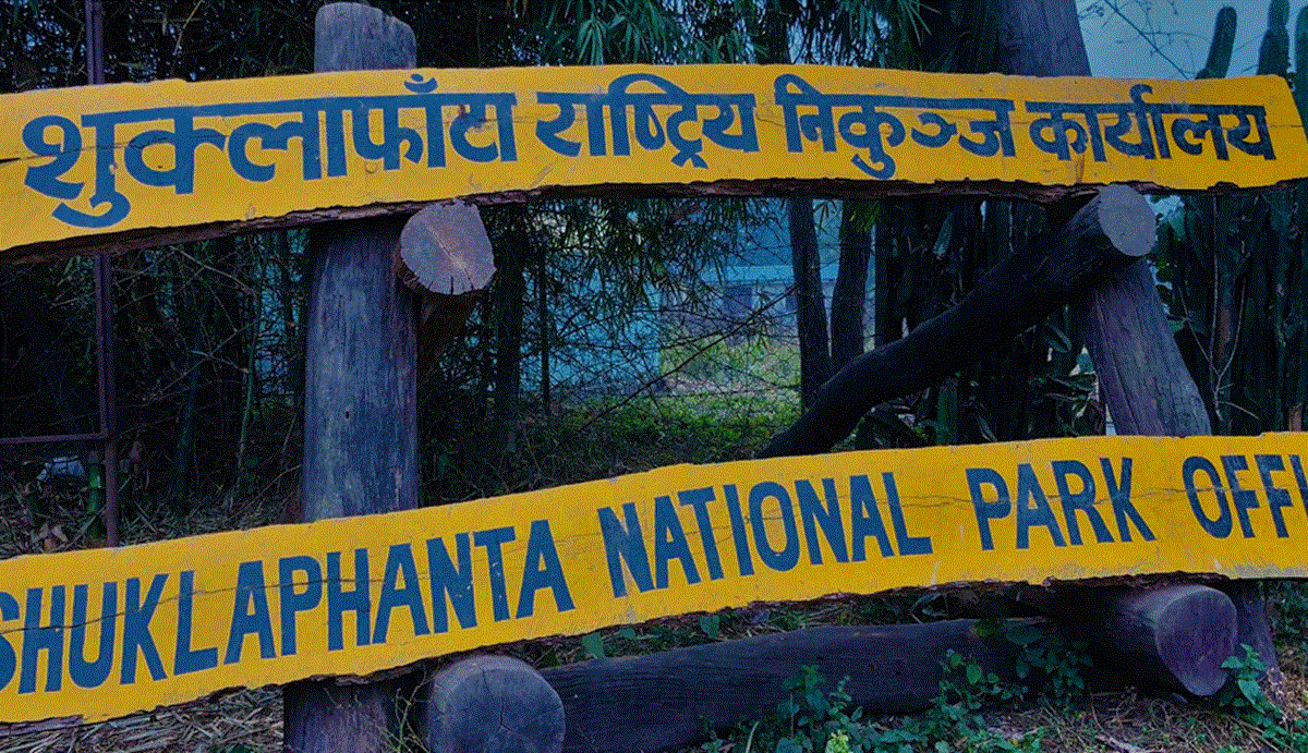 च्याउ खोज्न निकुञ्ज गएका तीन महिला फेला, १४ जना सम्पर्कविहीन