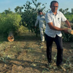 सुस्तामा नारायणीको कटान तीव्र, तटबन्ध नहुँदा उच्च जोखिम