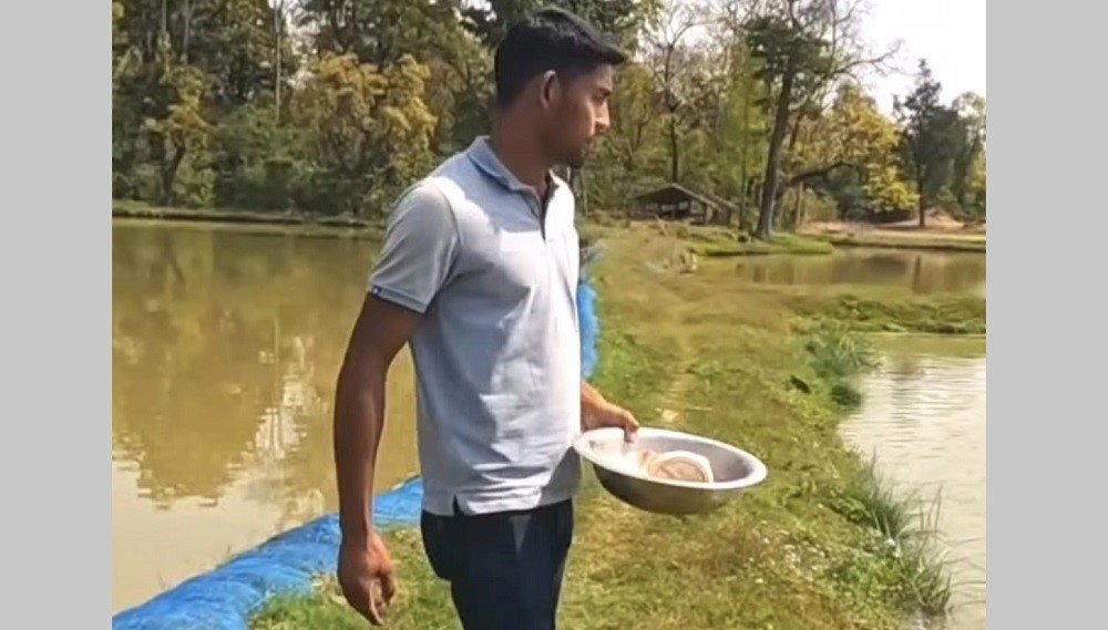 माछापालनबाट मासिक २५ लाख आर्जन