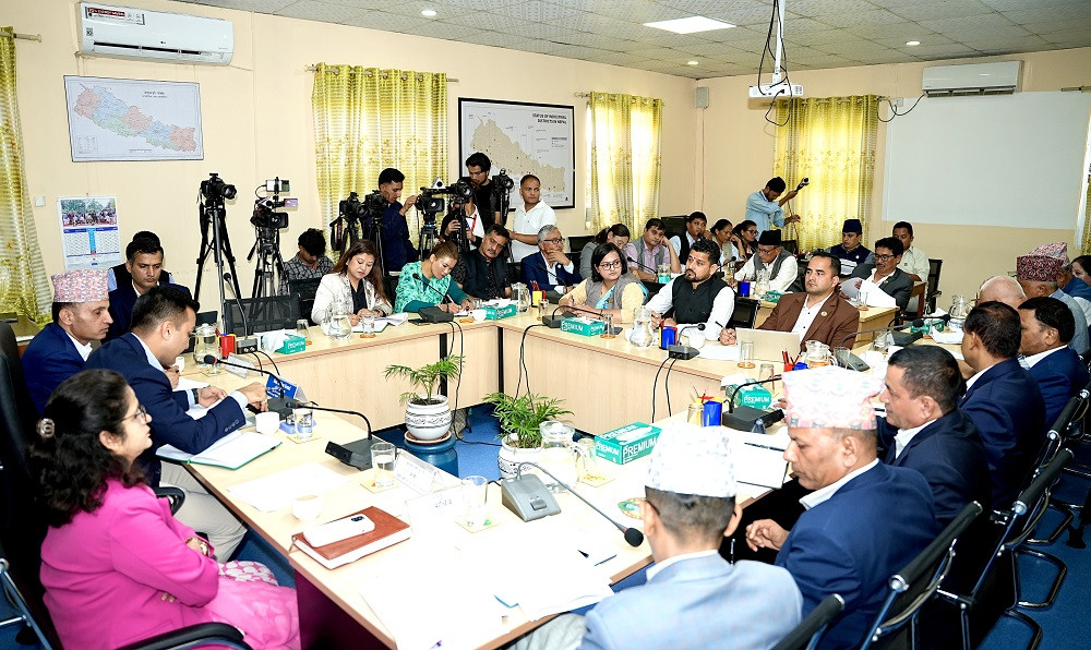 कालोबजारी गर्ने पेट्रोलपम्प र ग्यास डिलरको इजाजत खारेज गर्न निर्देशन