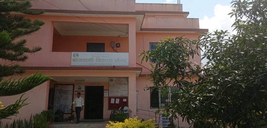 पाँचखालमा कृषि उत्पादनसँगै नयाँ जात र प्रविधिको परीक्षण