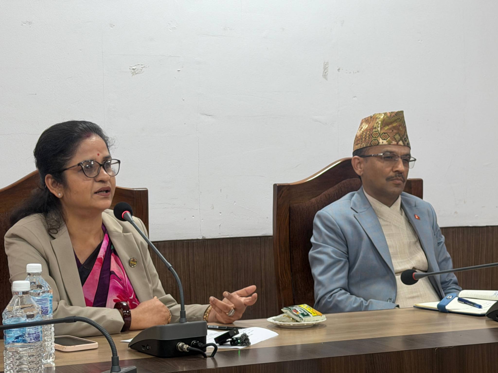 ग्यास अभाव चर्किएपछि सरकार–होटल व्यवसायी छलफल, विद्युत् प्रयोग बढाउन जोड