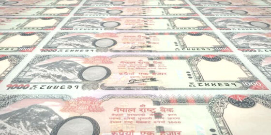 हजारका नयाँ नोट बजारमा आएकै बेला नोटबन्दी गर्न सांसदको दबाब, कालो धन नियन्त्रणमा कति प्रभावकारी ?